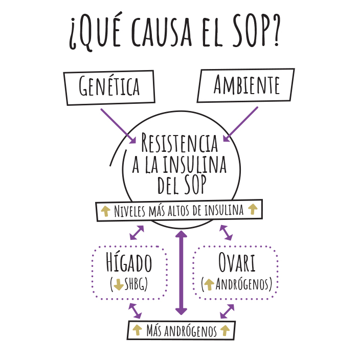 ¿Qué causa el SOP?